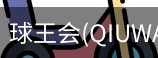 球王会